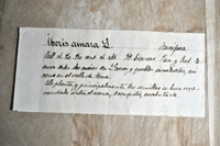 Detalle 1